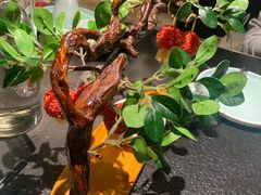 -唐猫庭院·千年陕菜(赛格国际购物中心店)