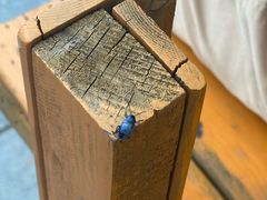 -Green Option(官舍店)