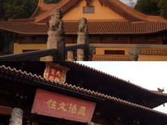 -太子山公园(园东路)