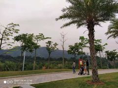 -白石龙音乐公园