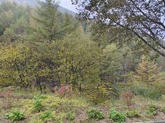 -红崖峡谷景区