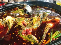 -金海椒罐罐鲢鱼(东方桂苑店)