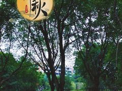 -沙河三洞古桥公园