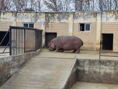 -合肥野生动物园