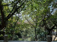 -广州市白云山风景名胜区