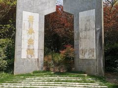 -东平国家森林公园