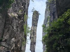 -恩施大峡谷