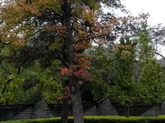 -Club Med地中海俱乐部·桂林度假村