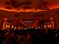 -拉斯维加斯永利酒店