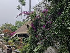 -老房子金沙元年川菜食府·花园餐厅(金沙店)