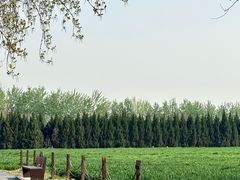 -汉长安城未央宫国家考古遗址公园