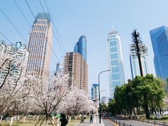 -西北湖绿化广场
