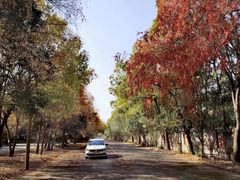 -胜华驾校·小猫学车(银都店)