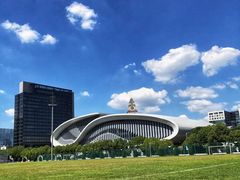 -黄龙魔方运动培训·棒球·橄榄球