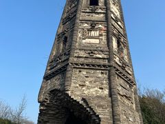 -上海佘山国家森林公园天马山园