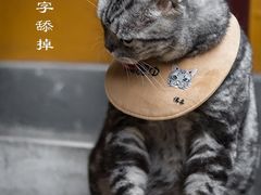 -龙华寺