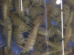 -明记海鲜大排档(巽寮湾店)