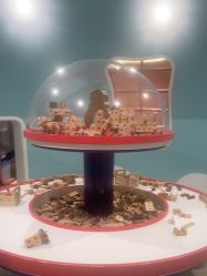 -奈尔宝·儿童乐园·亲子餐厅(苏州大悦城店)