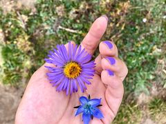 -芦芽山旅游度假区