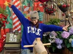 -逗柴町空中花园·雪橇三傻·柴犬柯基狗咖·猫咖·爬宠