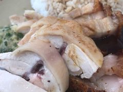 鸡肉叉烧双拼饭-百家鸡味馆(清泰店)
