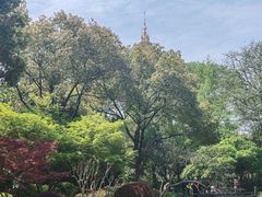 -红梅公园