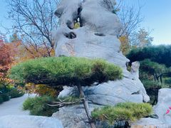-八大处公园