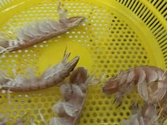 -板桥海鲜广场(文明东店)