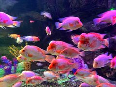 -泉城欧乐堡海洋极地世界