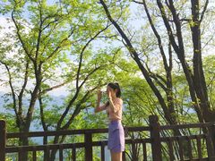 -陕西省红河谷森林公园