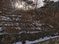 -北京西山国家森林公园