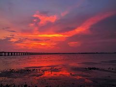 -宝安西湾红树林湿地公园