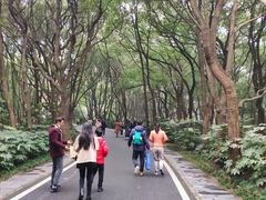 -东湖落雁景区