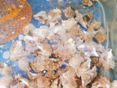 -雅逸居海鲜小厨