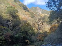 -叠溪松坪沟景区