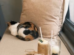 -转山咖啡(松柏社区店)