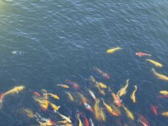 -沂蒙云瀑洞天景区