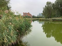 -中关村生命科学园