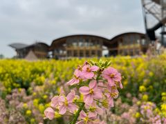 -中国天府农业博览园