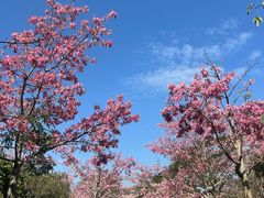 -风云岭森林公园