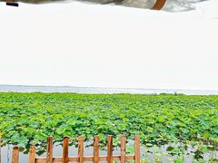 -七的湖·晚芳亭·阳澄湖农家菜·大闸蟹(莲花岛店)