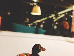 -同喜烤鸭店(光芒店)