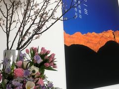 -罗红摄影艺术馆