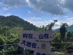 -呀诺达热带雨林