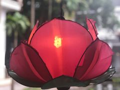 -河内西湖莲花自助餐厅