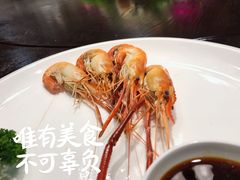 白灼罗氏虾-谢氏老金口(江夏武昌大道店)