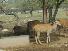 -西安秦岭野生动物园