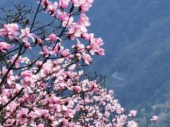-九皇山景区