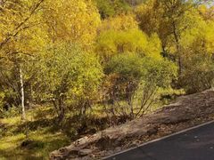 -塞罕坝国家级自然保护区