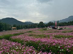 -楠溪江风景名胜区